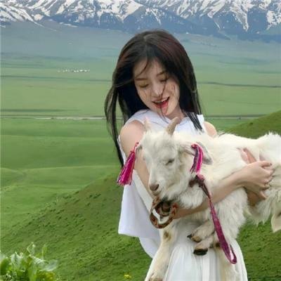 尼斯湖水怪传说2海报